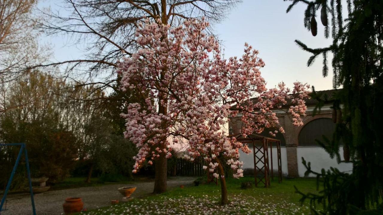 Agriturismo Cipolli E Podo Corte Carlini มานโตวา ภายนอก รูปภาพ